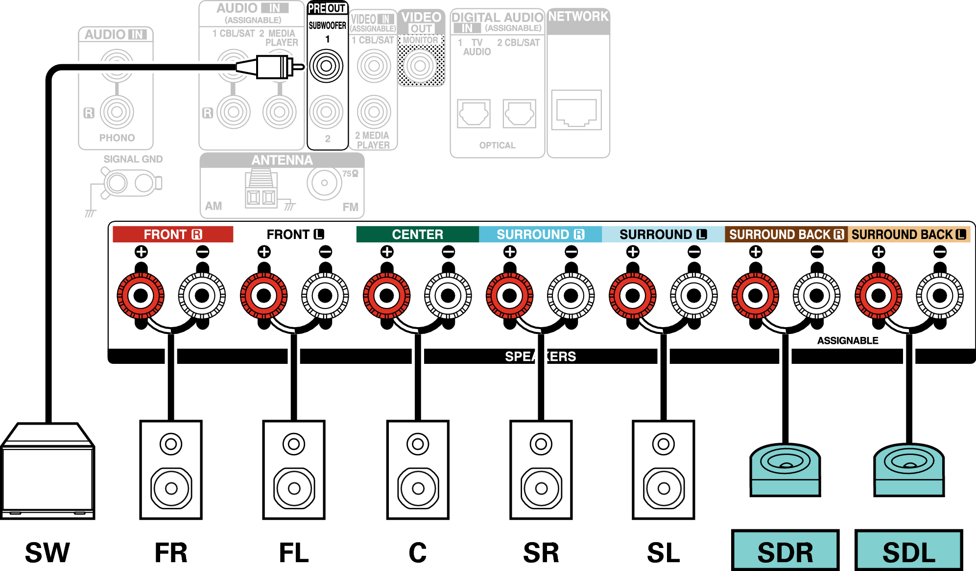 Conne SP 7.1 SD X17E2